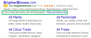 adwords review extensions